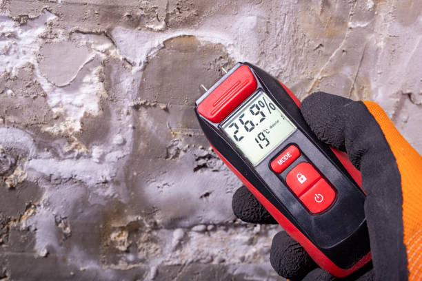 Best Mold Damage Repair  in Harvard, NE