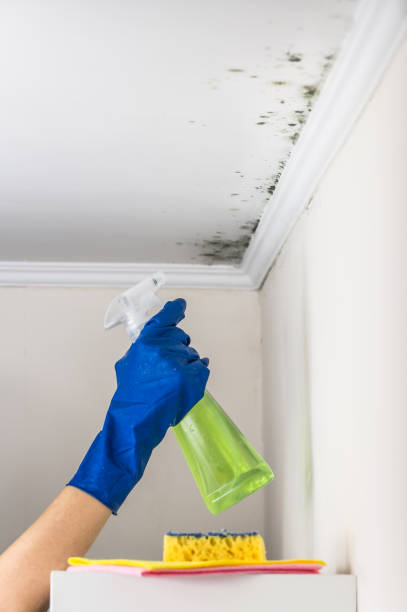 Best Crawl Space Mold Removal  in Harvard, NE